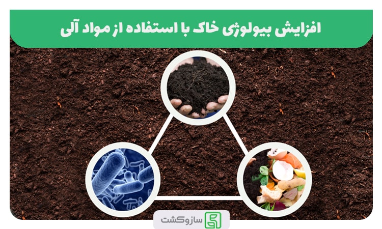 افزایش بیولوژی خاک
